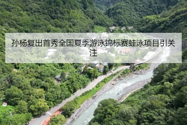 孙杨复出首秀全国夏季游泳锦标赛蛙泳项目引关注